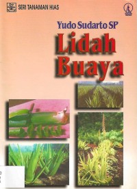 Image of Lidah Buaya