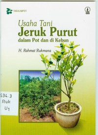 Image of Usaha Tani Jeruk Purut Dalam Pot dan di Kebun